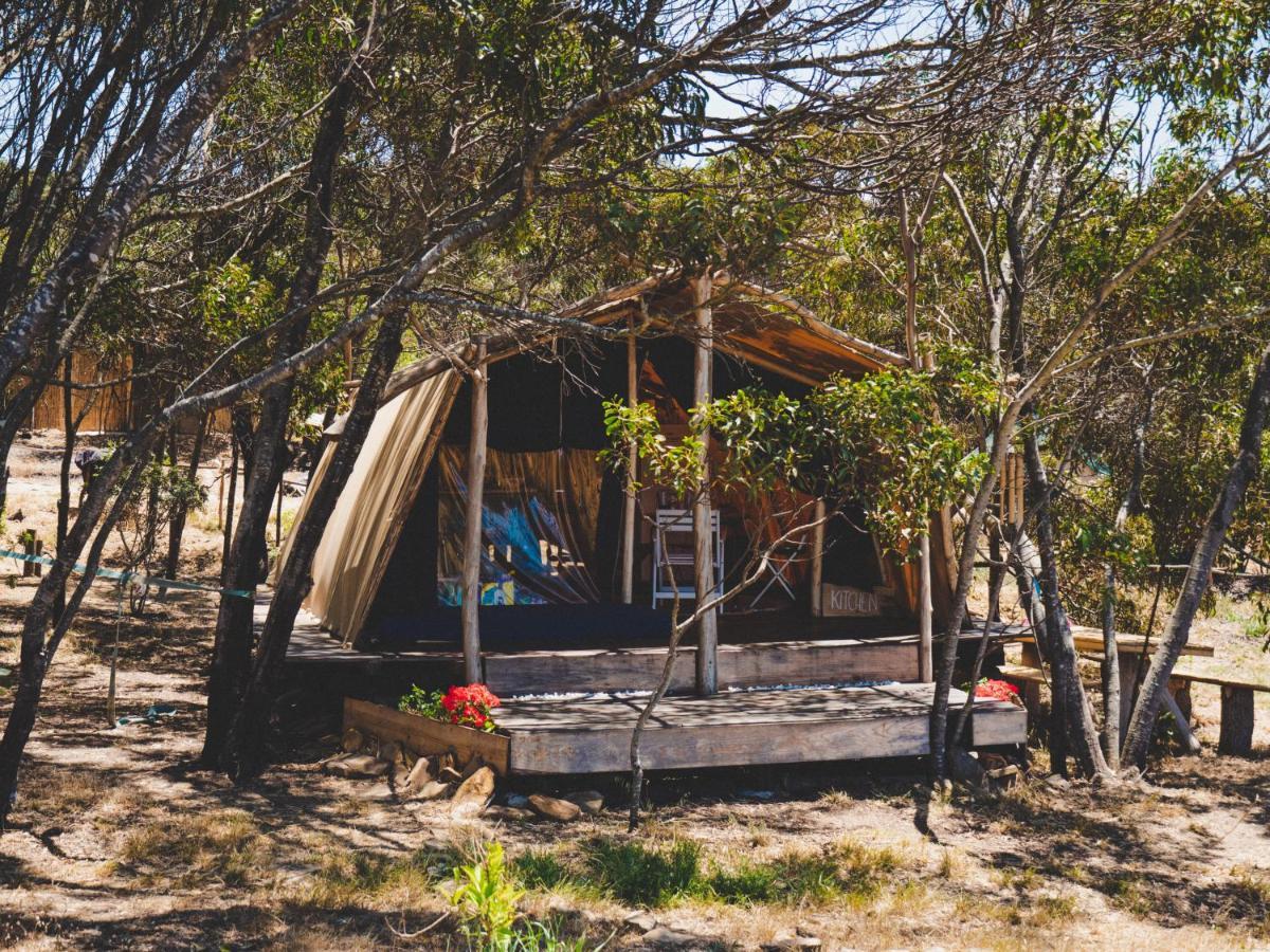 Soul Farm Algarve - Glamping & Farm Houses 阿尔热祖尔 外观 照片