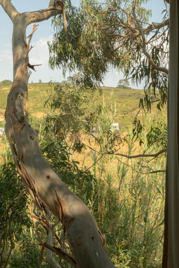 Soul Farm Algarve - Glamping & Farm Houses 阿尔热祖尔 外观 照片