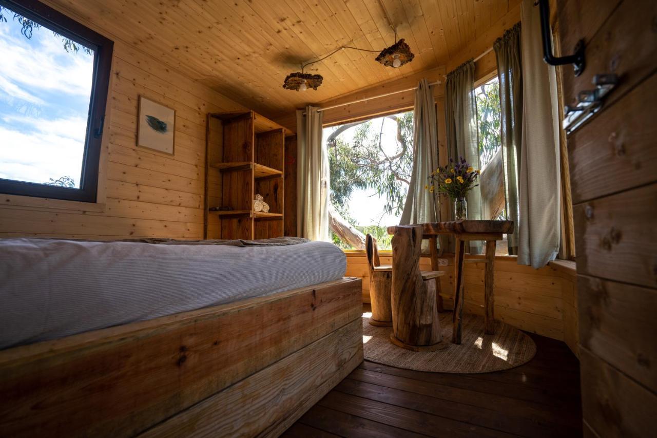 Soul Farm Algarve - Glamping & Farm Houses 阿尔热祖尔 外观 照片