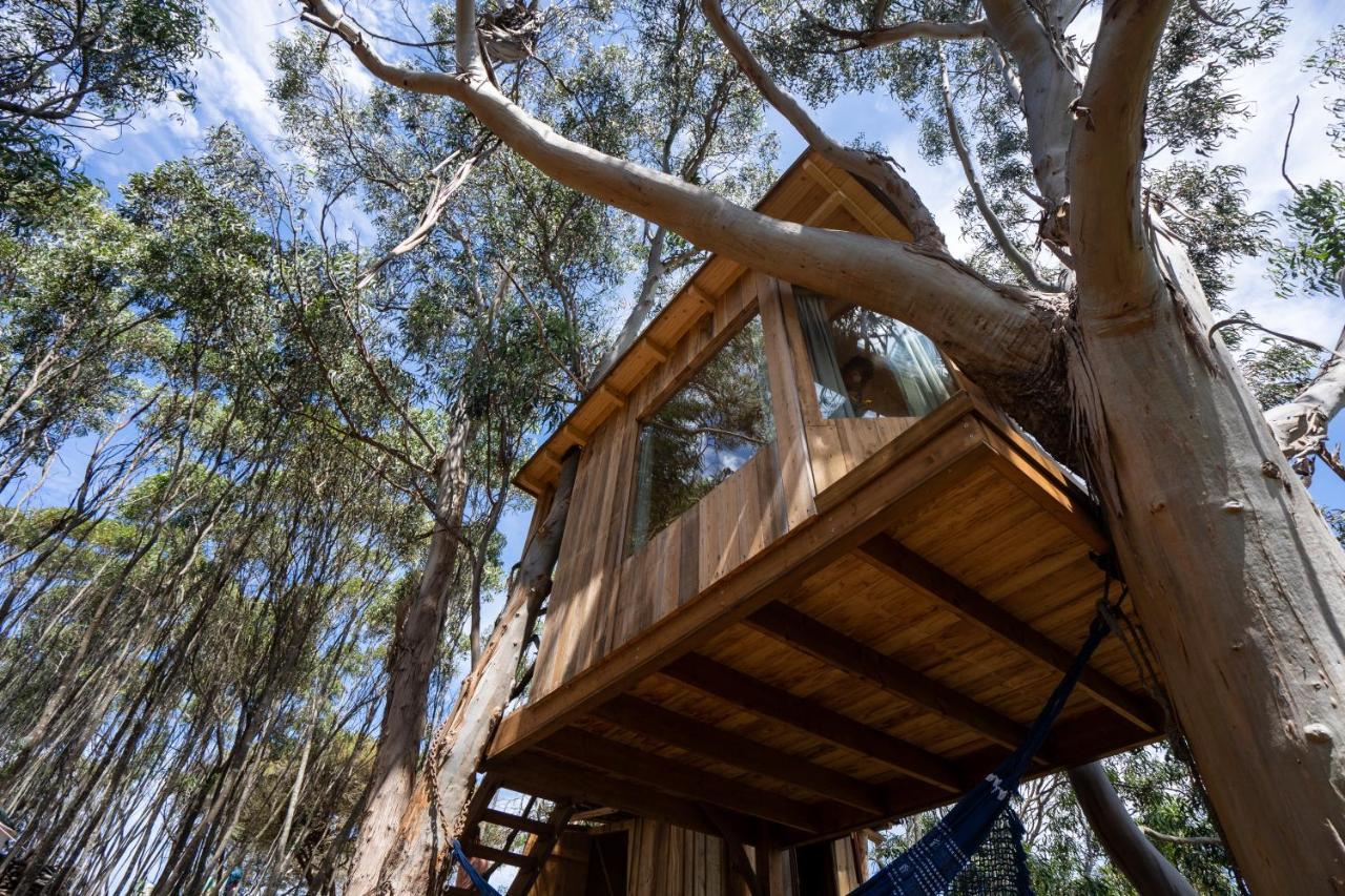 Soul Farm Algarve - Glamping & Farm Houses 阿尔热祖尔 外观 照片