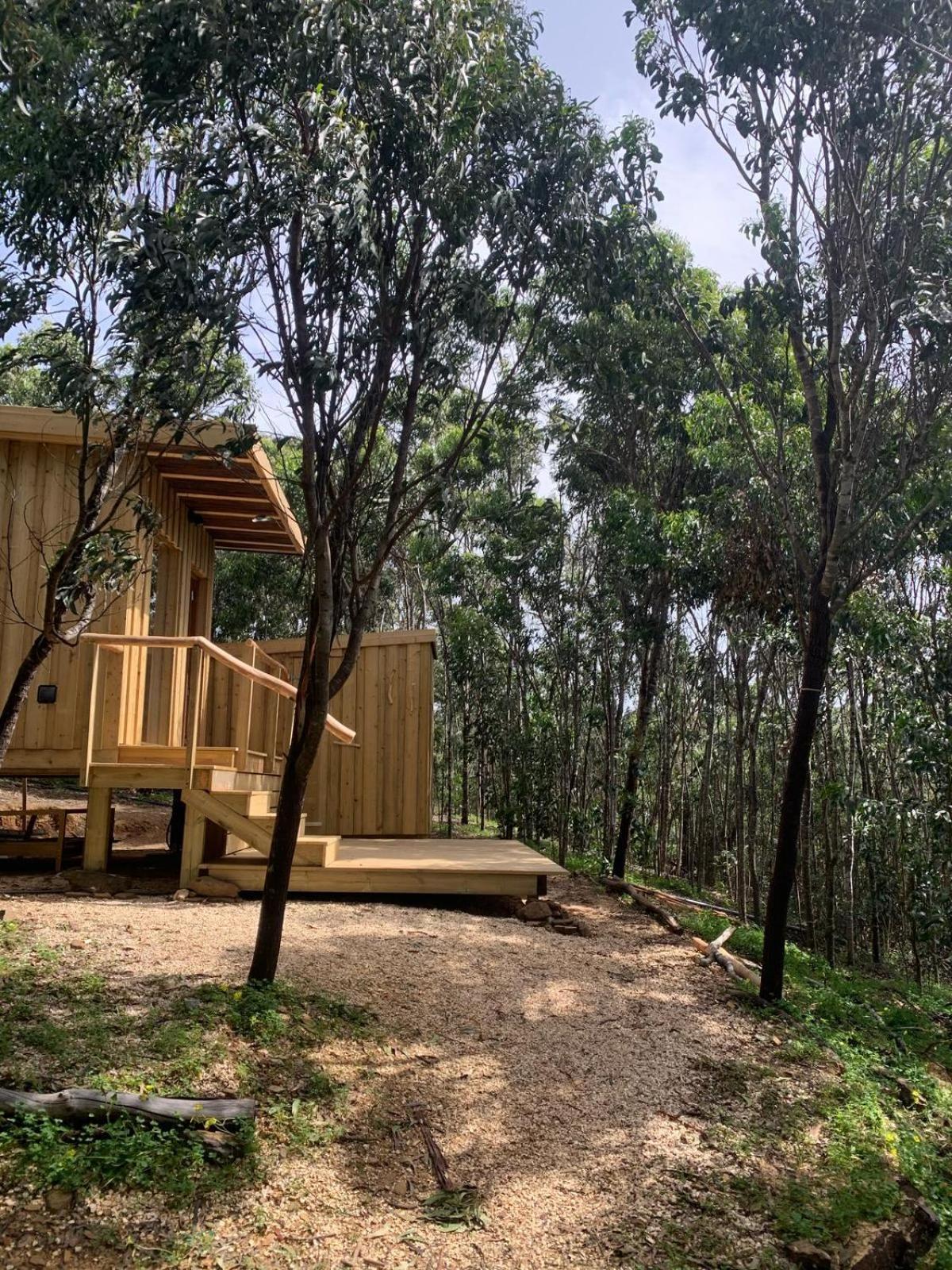Soul Farm Algarve - Glamping & Farm Houses 阿尔热祖尔 外观 照片