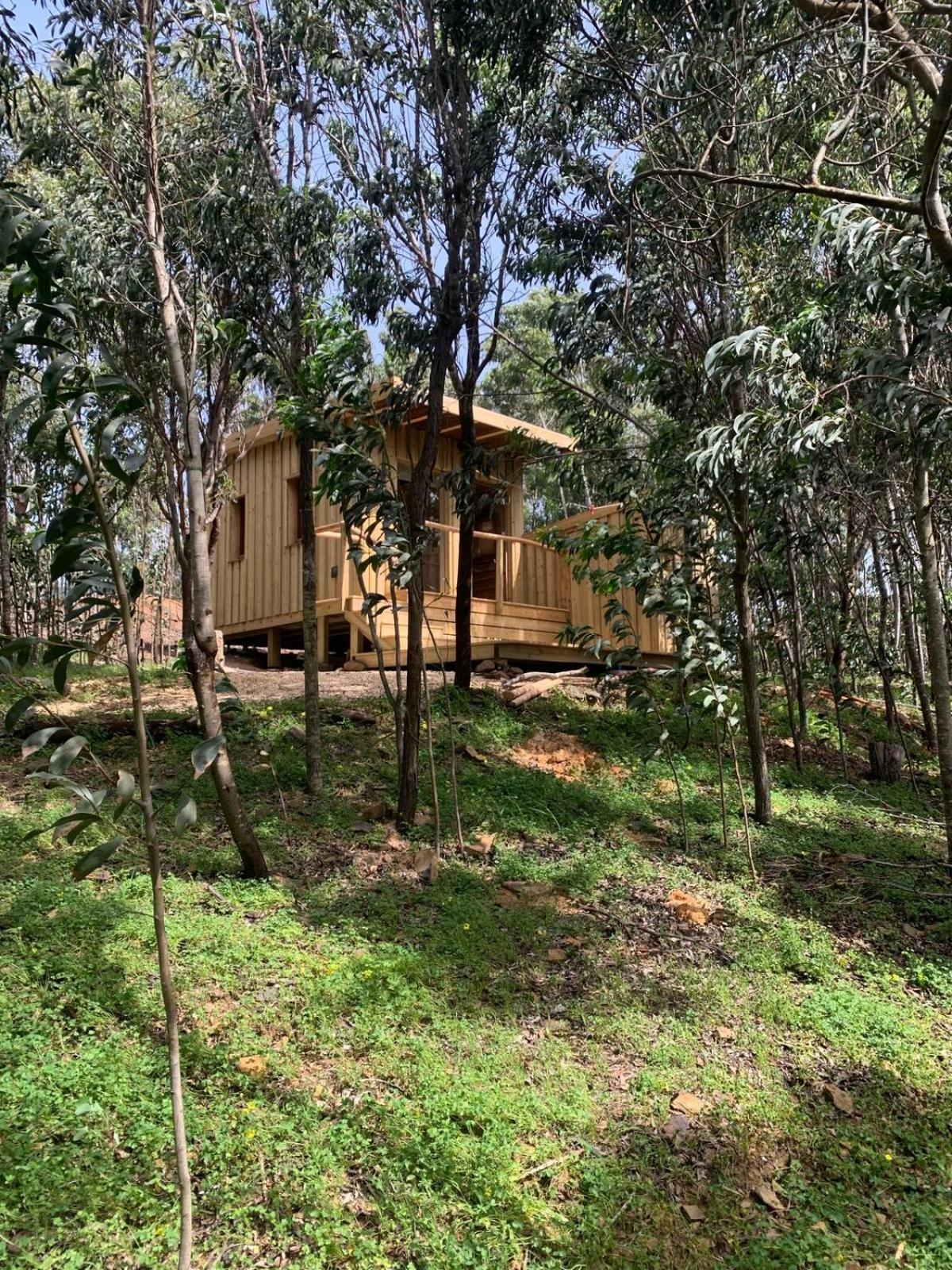 Soul Farm Algarve - Glamping & Farm Houses 阿尔热祖尔 外观 照片
